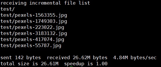 5分鐘教你設定Ubuntu資料以rsync方式備份到資料中心備份主機 10 hhh