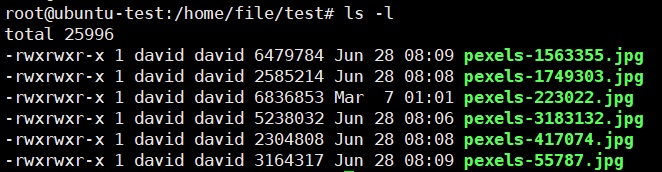 5分鐘教你設定Ubuntu資料以rsync方式備份到資料中心備份主機 11 iii