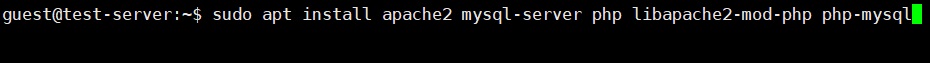 【實戰自架網站】手把手從零到有Linux Ubuntu上建置 Wordpress 環境,來架設自己的網頁! 5 wp 07